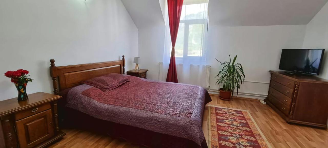 Pensiunea Miraj Polovragi Exteriér fotografie