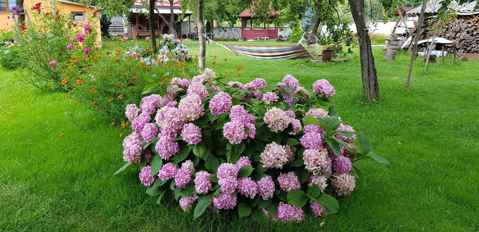 Pensiunea Miraj Polovragi Exteriér fotografie